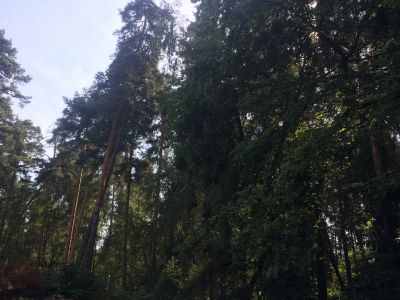 photo 63bded29c9b94_thumb.jpg