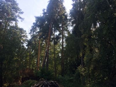 photo 63bded2a9b263_thumb.jpg