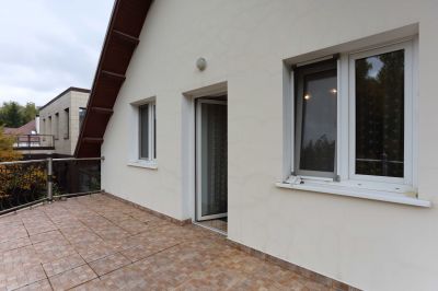 photo 63bdedc6028e8_thumb.jpg