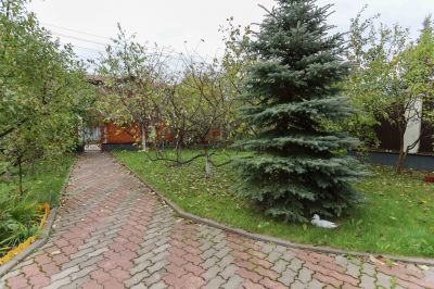 photo 63bdede700bb9_thumb.jpg