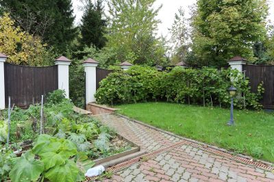 photo 63bdedf82f07b_thumb.jpg