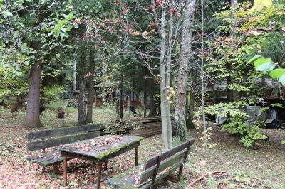 photo 63bdee00cf277_thumb.jpg