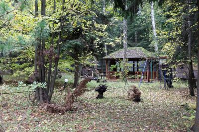 photo 63bdee0526191_thumb.jpg