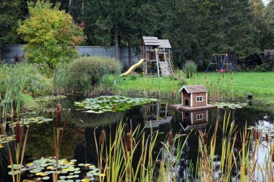 photo 63bdee099f415_thumb.jpg