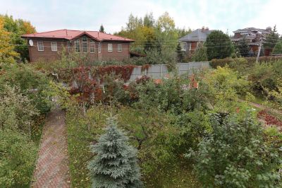 photo 63bdee1eca40b_thumb.jpg