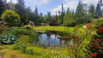 photo 6492a6b17307c_thumb.jpg