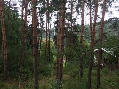 photo 63bdee303c346_thumb.jpg