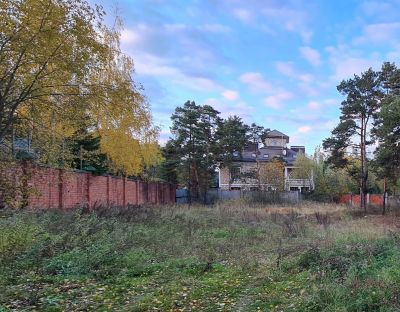 photo 63bdee3149c41_thumb.jpg