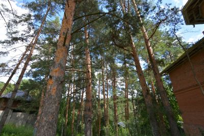 photo 63bdee351f2fb_thumb.jpg