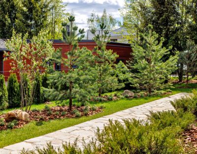 photo 686b7b81b7a6c_thumb.jpg