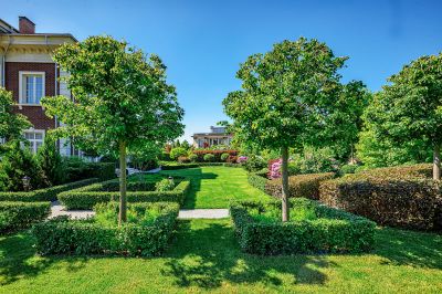 photo 63bdf042d5d72_thumb.jpg