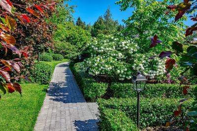 photo 63bdf044e6a8b_thumb.jpg