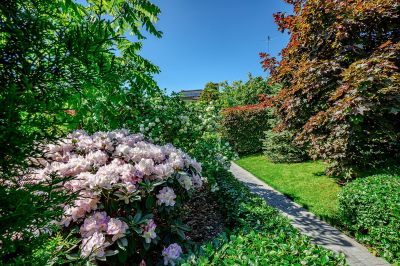 photo 63bdf04906219_thumb.jpg