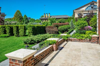 photo 63bdf04a1e802_thumb.jpg