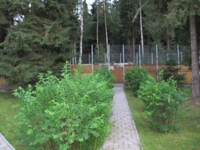 photo 63bdf079abbe6_thumb.jpg