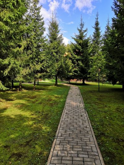 photo 63bdf07bcd1ad_thumb.jpg