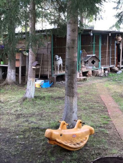 photo 63bdf0ba615db_thumb.jpg