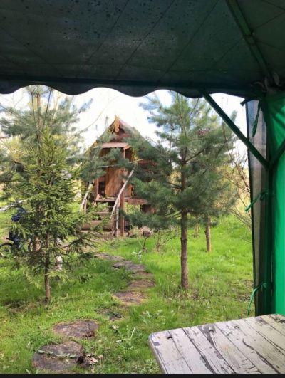 photo 63bdf0bf28059_thumb.jpg