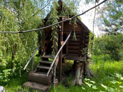 photo 63bdf0c599eaf_thumb.jpg