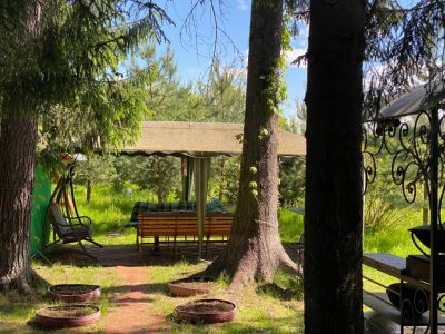 photo 63bdf0d065cfa_thumb.jpg