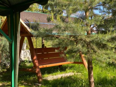 photo 63bdf0d0ef100_thumb.jpg