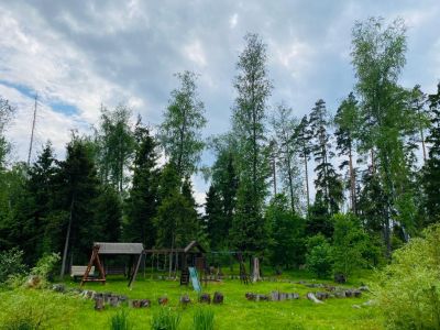 photo 63bdf0d3f34b0_thumb.jpg