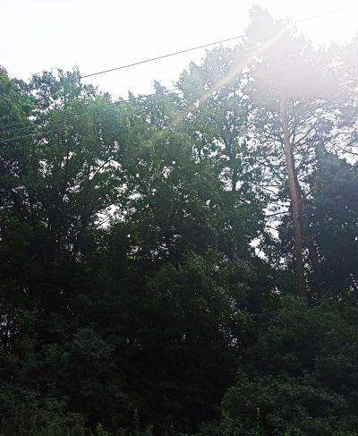 photo 63bdf2c61328f_thumb.jpg