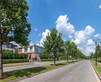 photo 63bdf32f19831_thumb.jpg