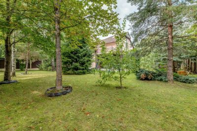 photo 63bdf4080067f_thumb.jpg