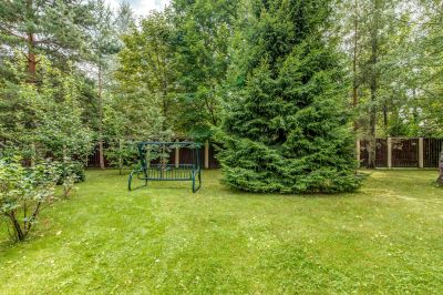 photo 63bdf4098c891_thumb.jpg