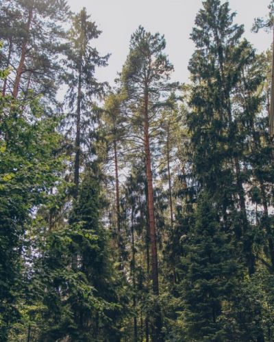 photo 63bdf6d5a960a_thumb.jpg