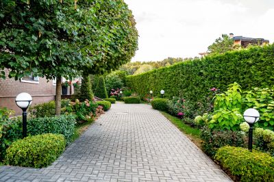 photo 68c7dc20295a9_thumb.jpg