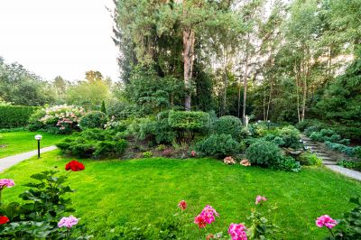 photo 68c7dc7321d62_thumb.jpg