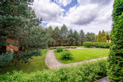 photo 63bdf94612e7c_thumb.jpg