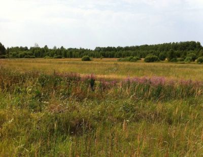 photo 63bdf99b91252_thumb.jpg