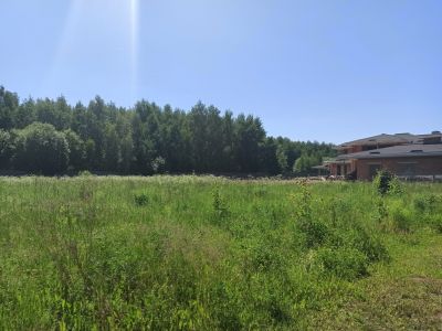 photo 63bdf99c12d77_thumb.jpg