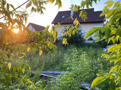 photo 63bdfd7f596eb_thumb.jpg