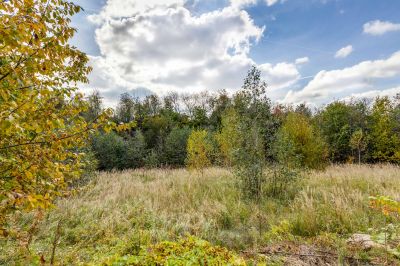 photo 63bdfd8b78d1e_thumb.jpg