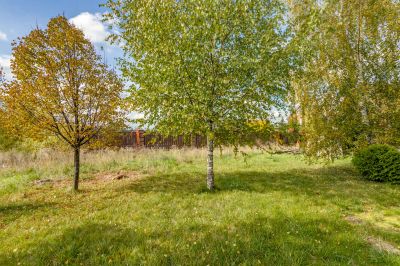 photo 63bdfd8d26813_thumb.jpg