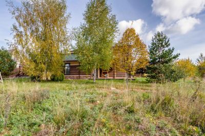 photo 63bdfd8ec164d_thumb.jpg