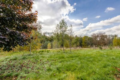 photo 63bdfd985b3d0_thumb.jpg