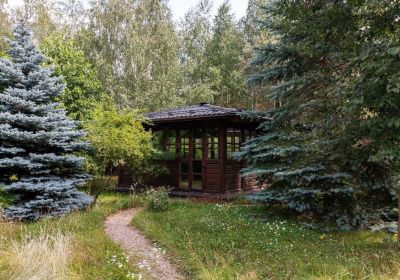 photo 63bdfe8f9dfef_thumb.jpg