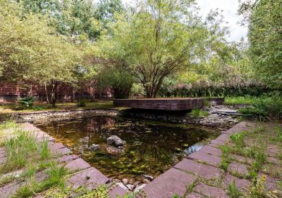 photo 63bdfe91570e4_thumb.jpg