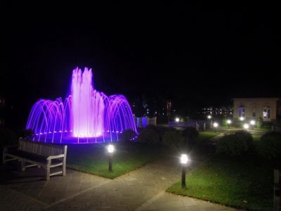 photo 63be024d0a65b_thumb.jpg