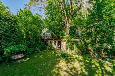 photo 683d5b51042e6_thumb.jpg