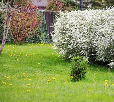 photo 63be06a59e306_thumb.jpg