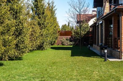 photo 63be0710e9005_thumb.jpg