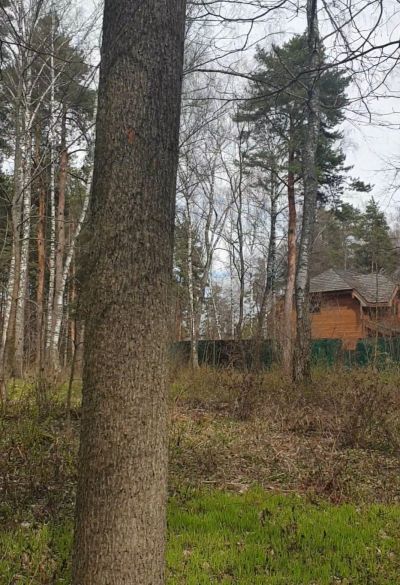 photo 63be072d76d84_thumb.jpg