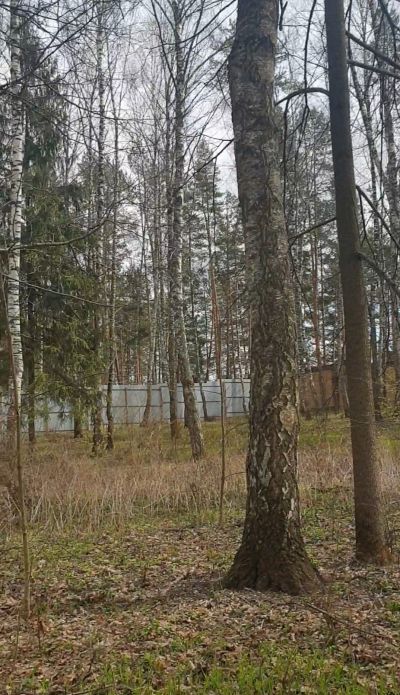 photo 63be072e21f97_thumb.jpg