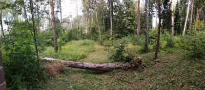 photo 666c4e76c5f63_thumb.jpg